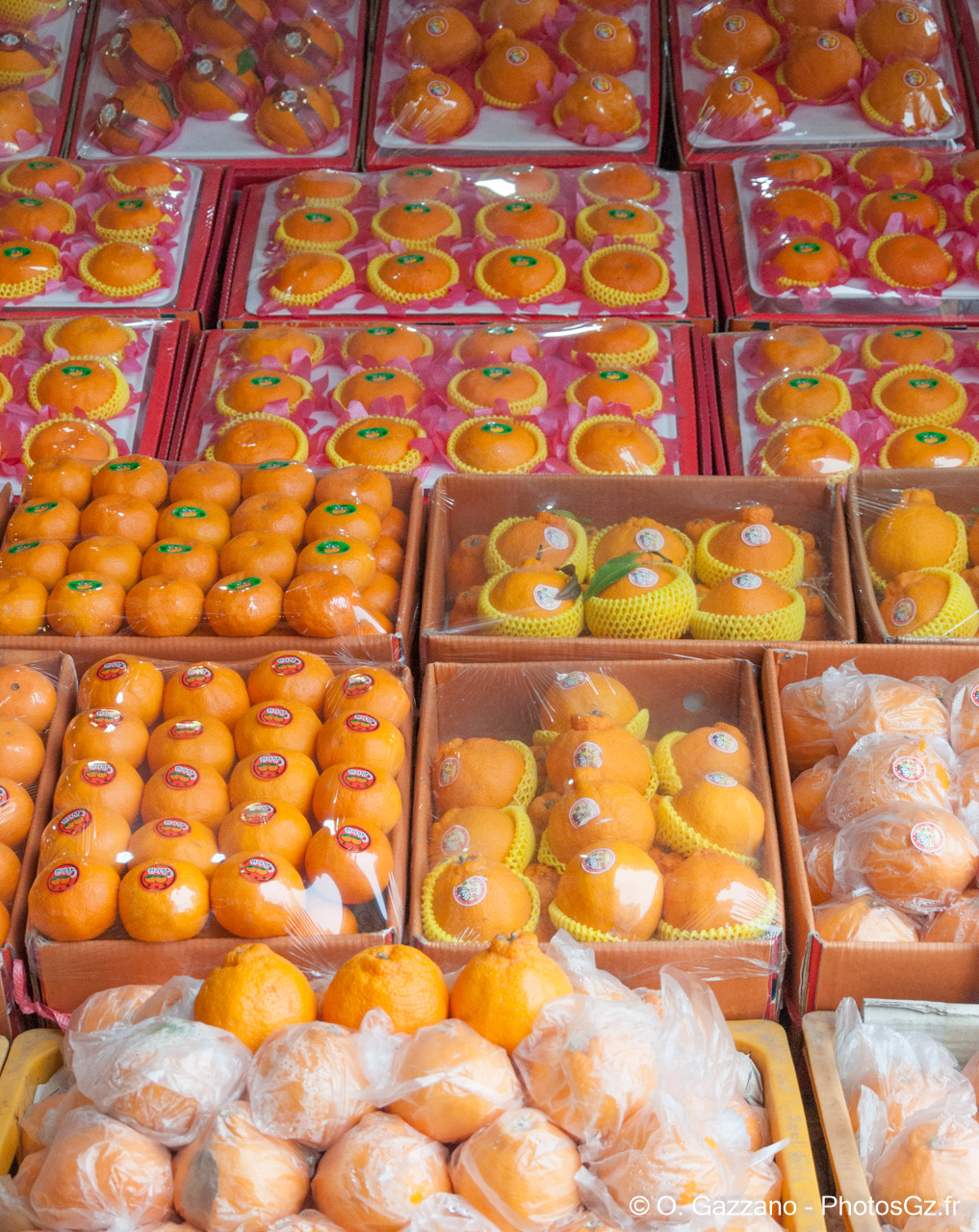 Orange de Jeju / Corée